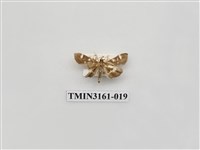 藏品(螟蛾327)的圖片